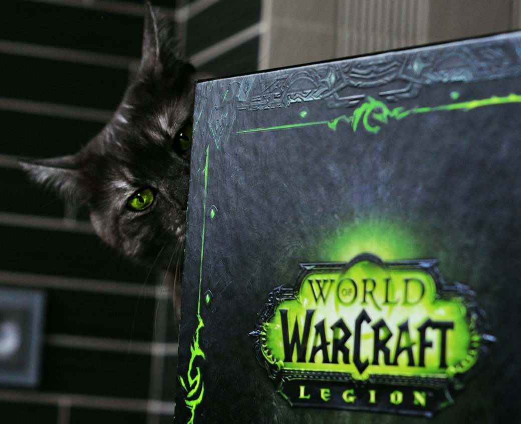 Распаковка коллекционного издания World of Warcraft: Legion. С котом! - Изображение 2 Распаковка коллекционного издания World of Warcraft: Legion. С котом! - Изображение 2
