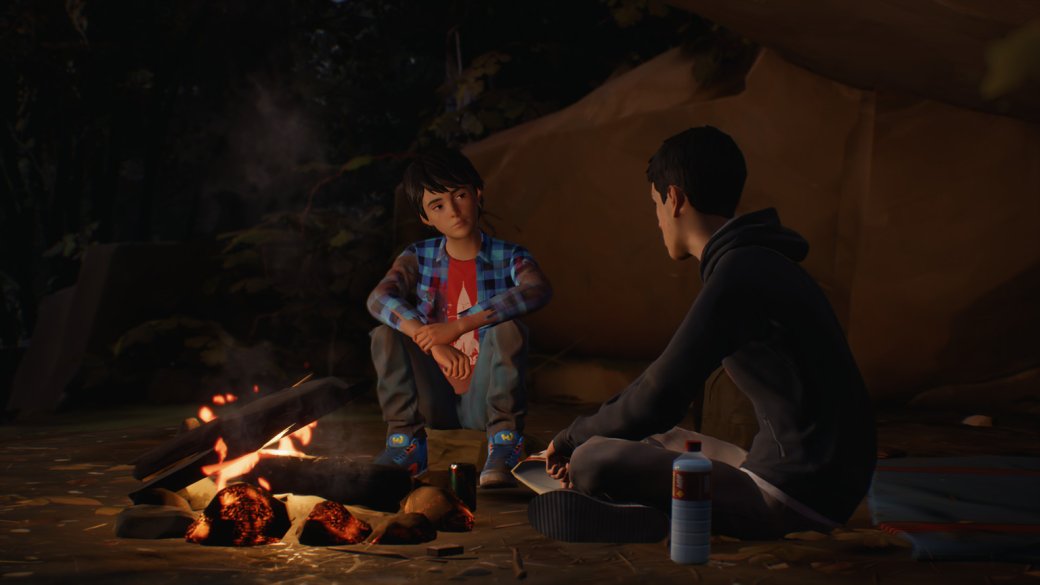 Life Is Strange 2: когда за вялыми политическими выкриками кроется полная творческая импотенция | Канобу Life Is Strange 2: когда за вялыми политическими выкриками кроется полная творческая импотенция | Канобу